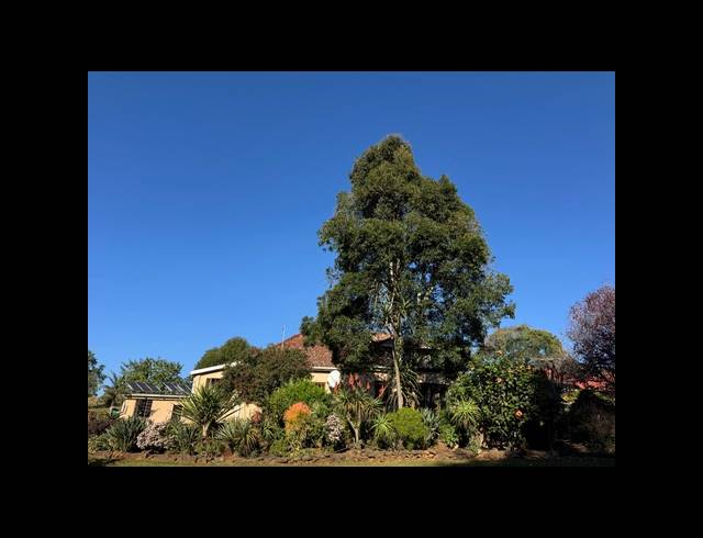 165HA FARM FOR SALE IN RICHMOND RURAL